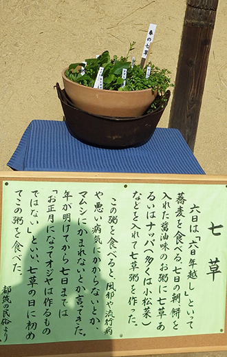七草3.jpg