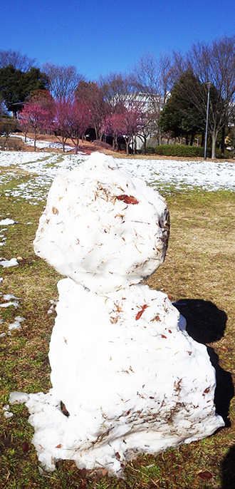 雪1.jpg
