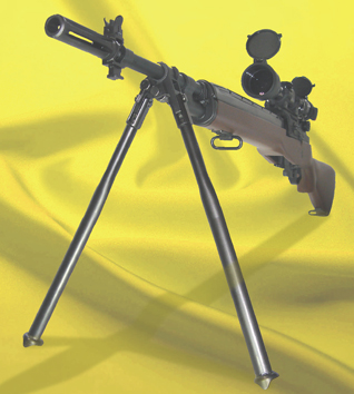 M14.jpg