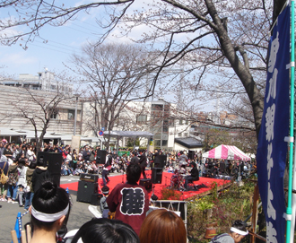 桜祭り3.jpg
